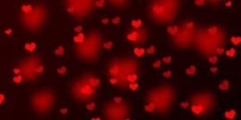 12335790's profile banner image