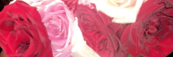akanshapradhan9's profile banner image