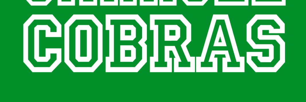 CCSUCarrollHall's profile banner image