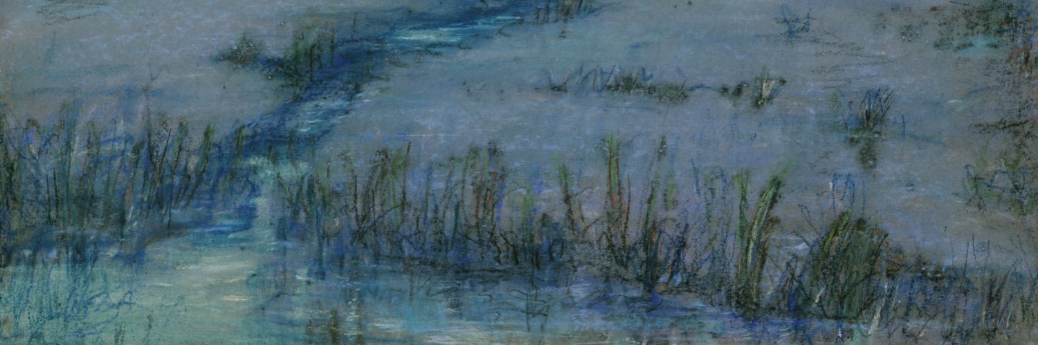 anatomyIesson's profile banner image