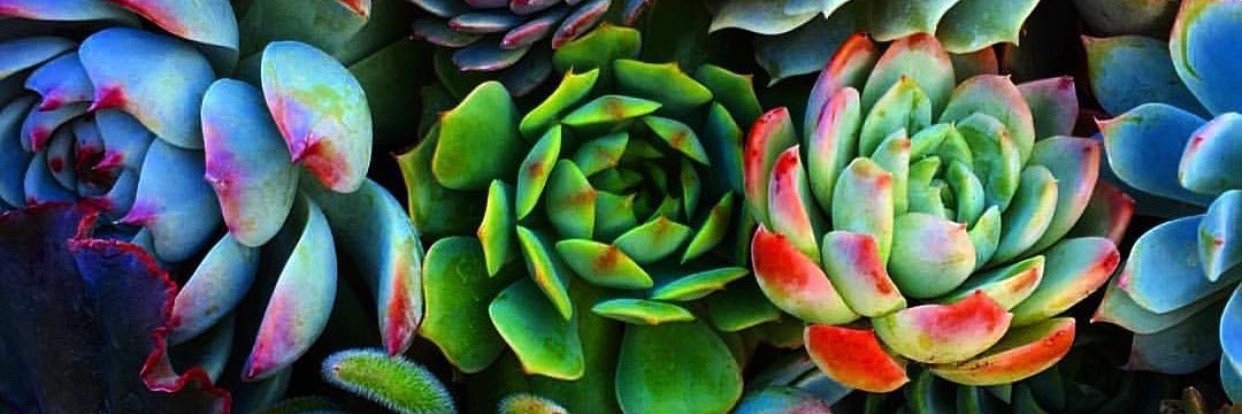 nikkifarrow42's profile banner image