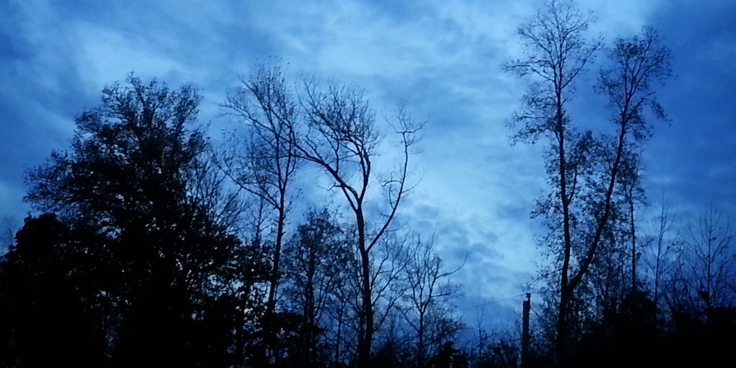 crsawinton's profile banner image