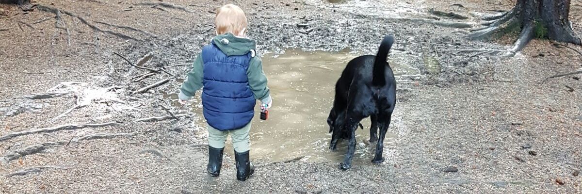 shortstuffaw's profile banner image