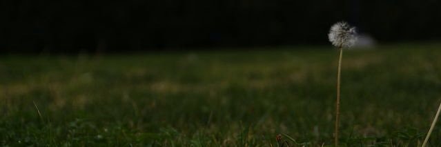 kentanke0107's profile banner image