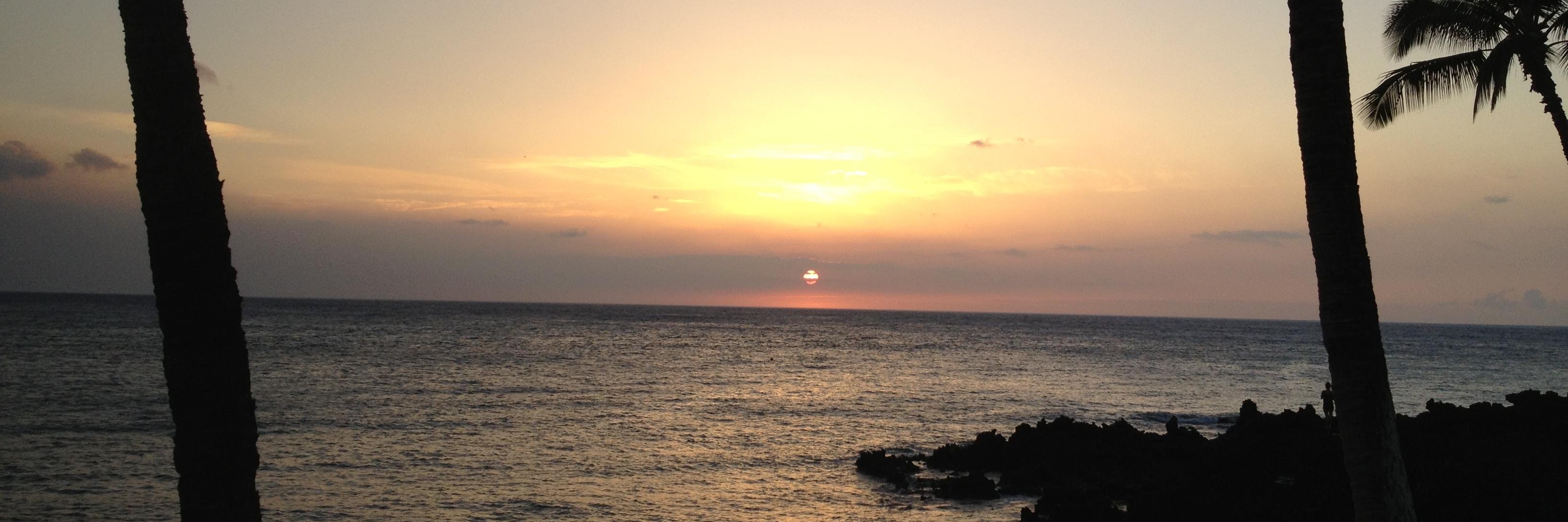 Andrew Lafiosca banner