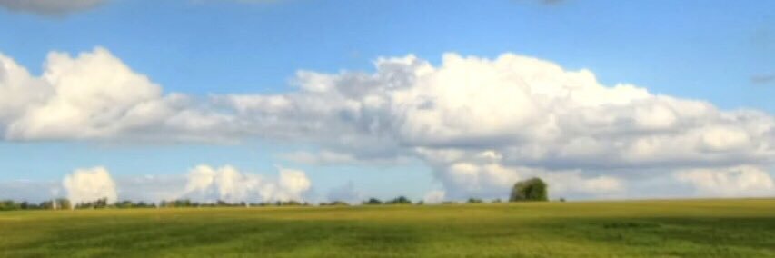 Kevin Marshall banner