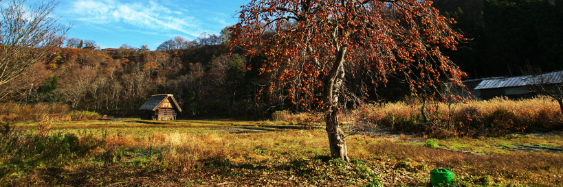 风雨伴我行 banner