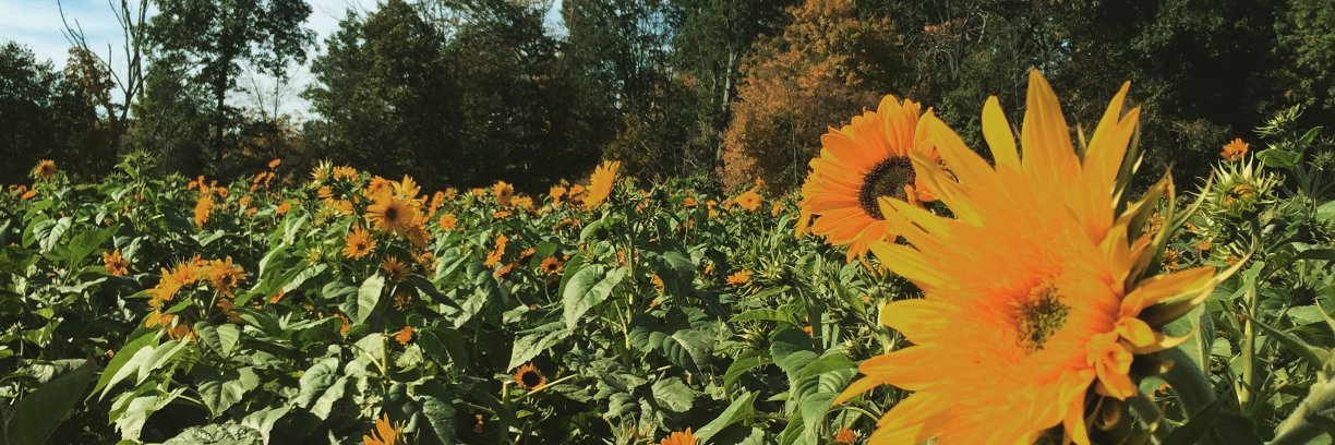 MsMacHHS's profile banner image