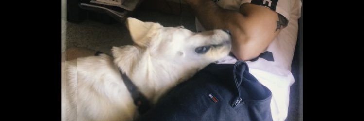francdsv's profile banner image