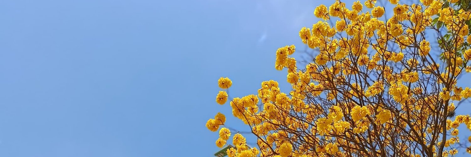 and___ss's profile banner image