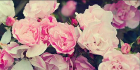 DeviaaaIN's profile banner image