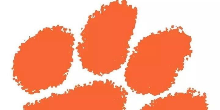 Clemsongirl77's profile banner image