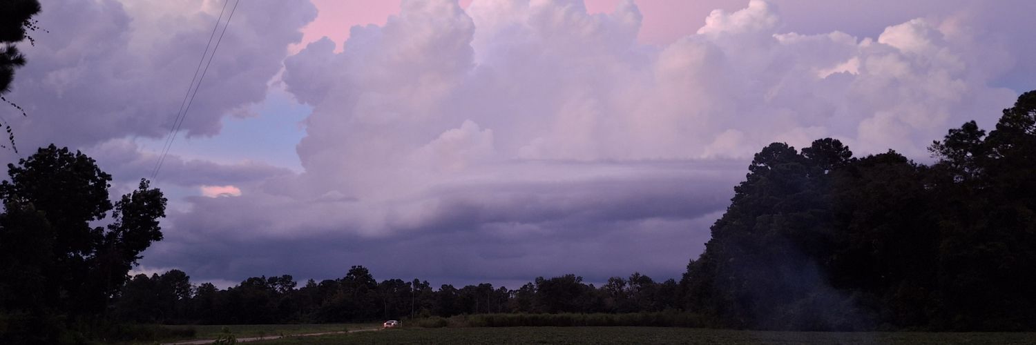 MichealeJohnson's profile banner image