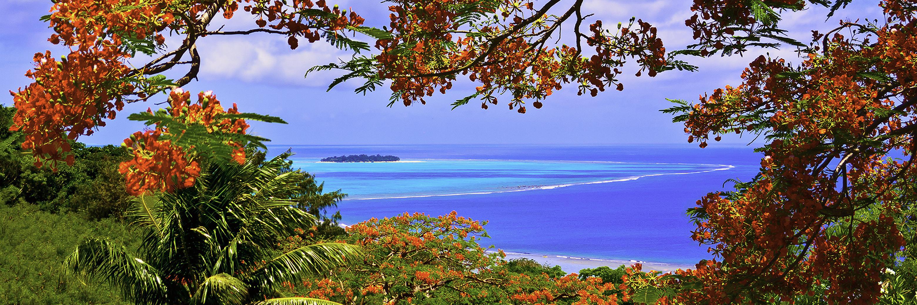 Mary Ermitanio banner