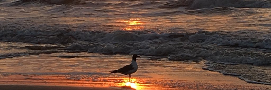 Keith Davis - DATS MY DAD banner