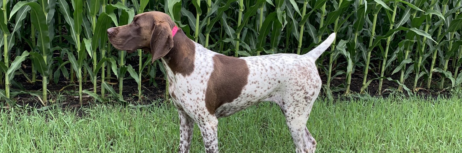 Dustin Thomas banner