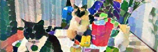 AWickedWitch8's profile banner image