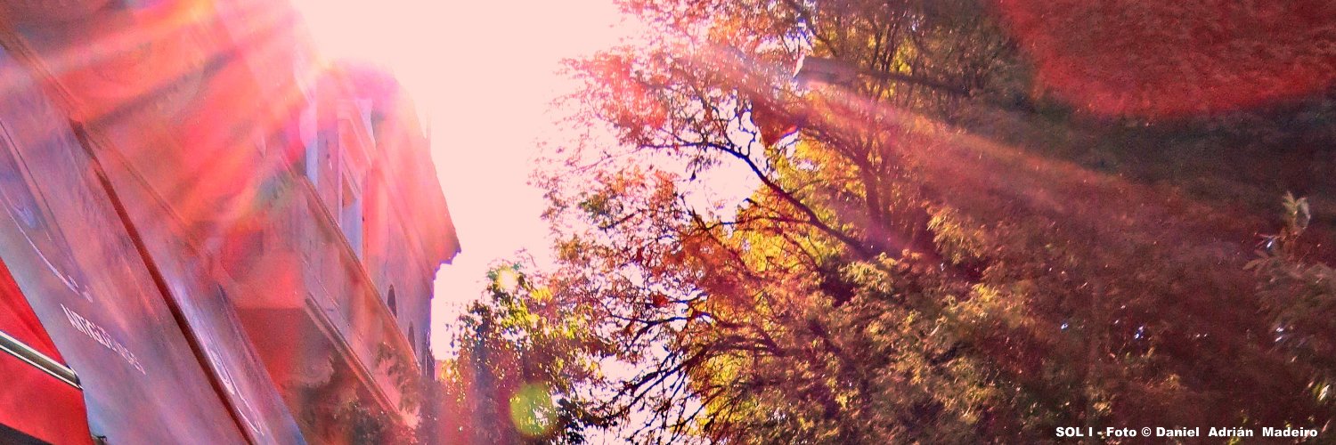 damadeiro's profile banner image