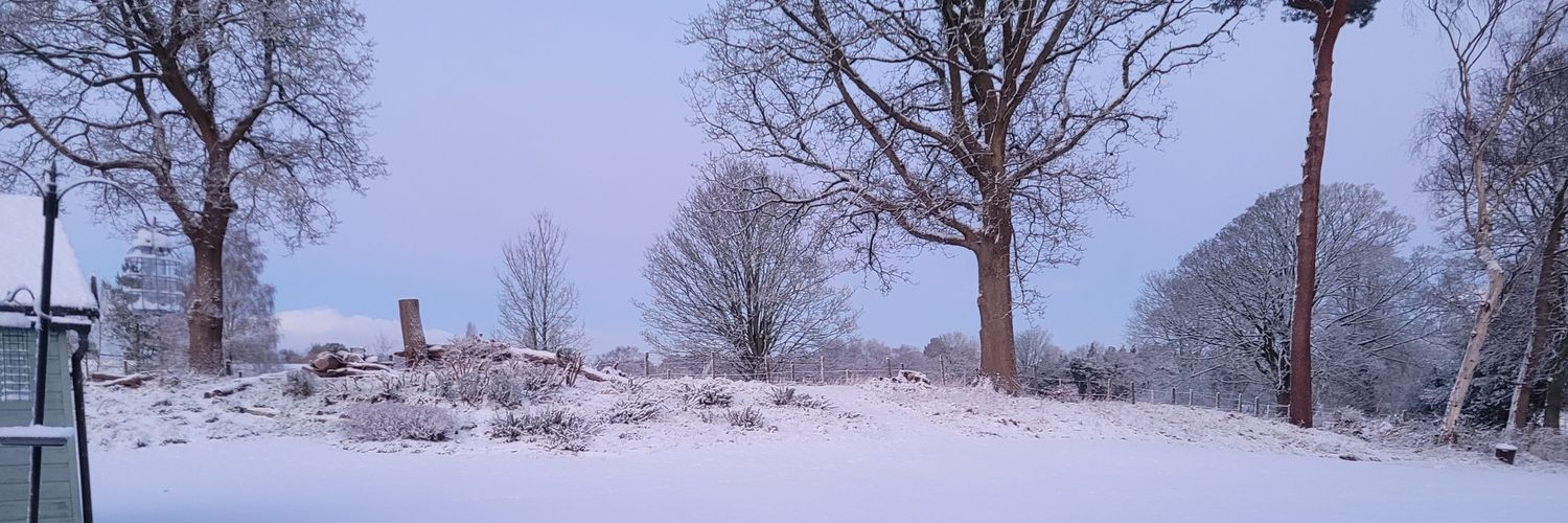 Michelle.curzon banner