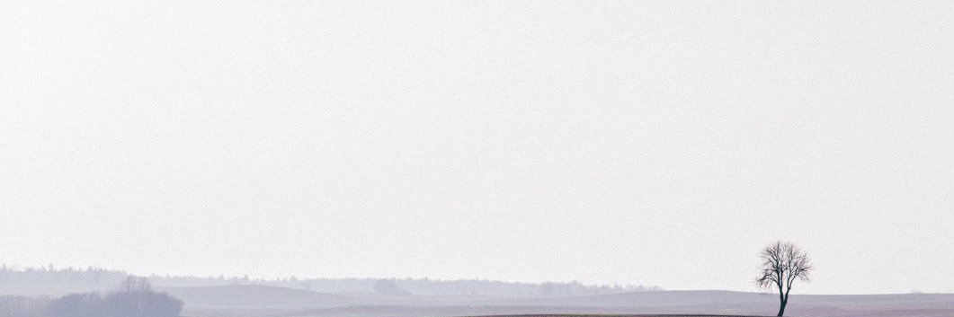 Jayvee H. Chun banner