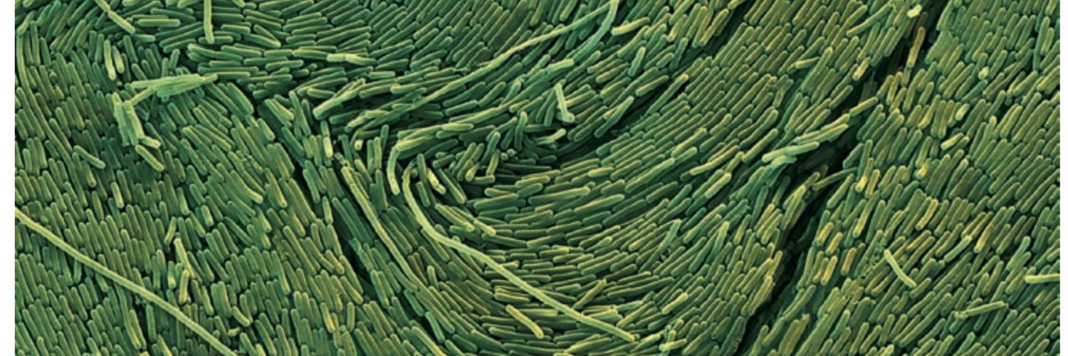 moleculeman's profile banner image