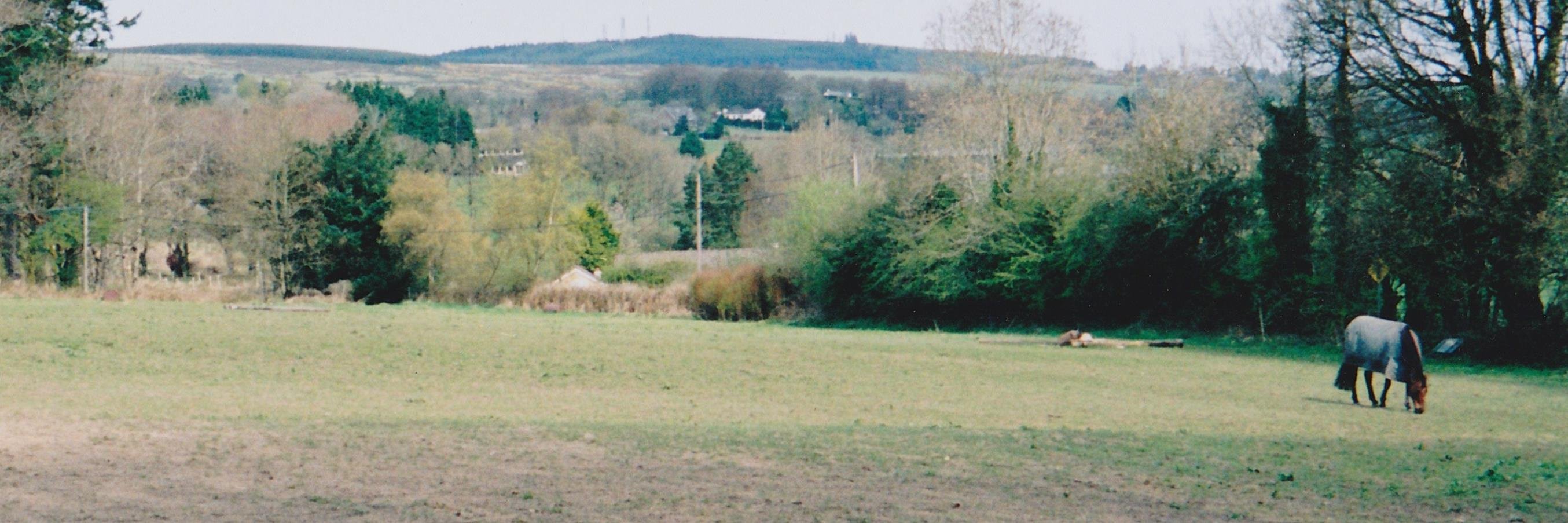 deobrien1's profile banner image