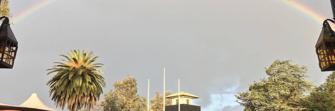anitacoffa's profile banner image