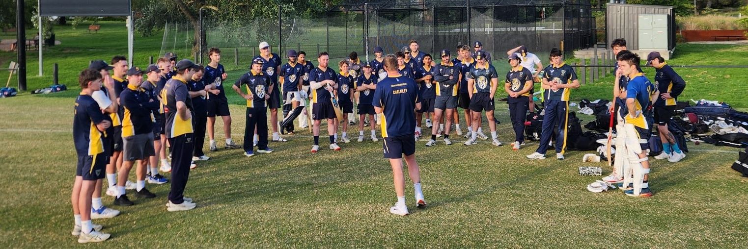 Balwyn Cricket Club 💛💙🐯🏏 banner