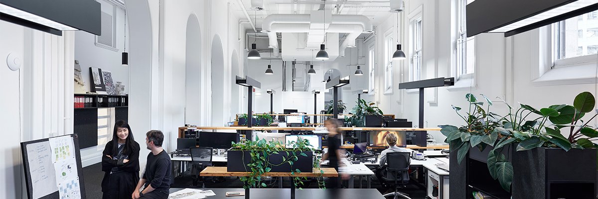 designinc_au's profile banner image