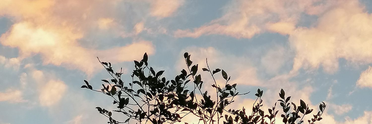 eduvillalobos99's profile banner image