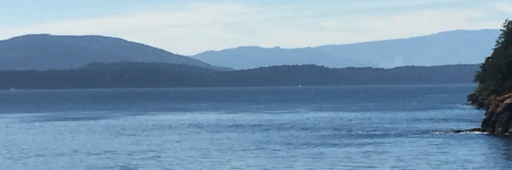 shellmort22's profile banner image