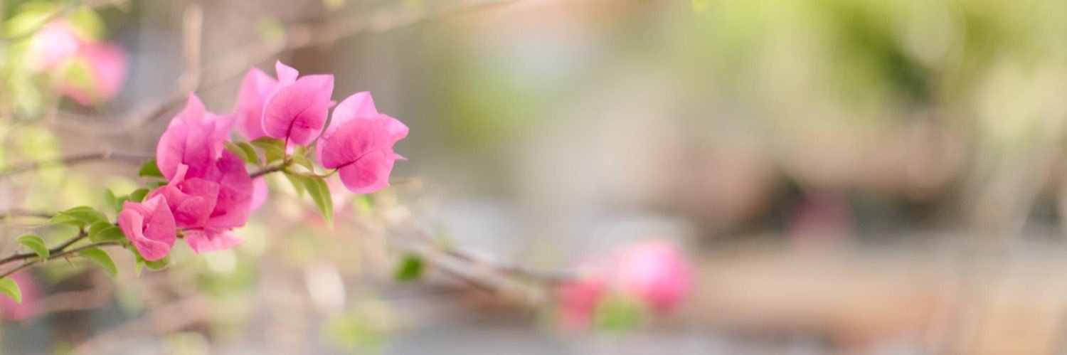 Jen_PBandJen's profile banner image