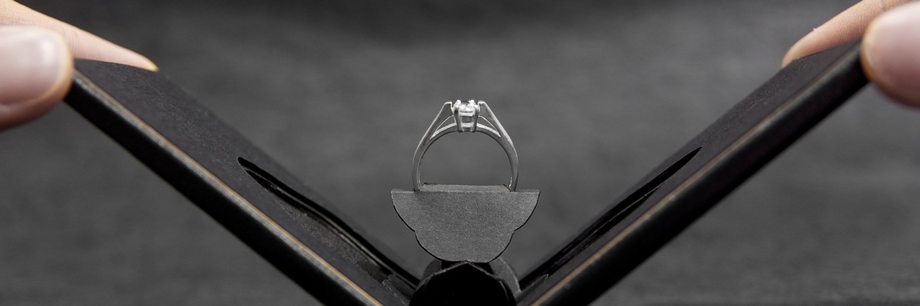 thecliftoncase's profile banner image