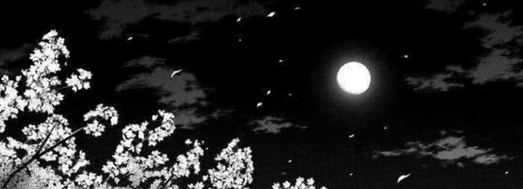 aurelialunaaa52's profile banner image