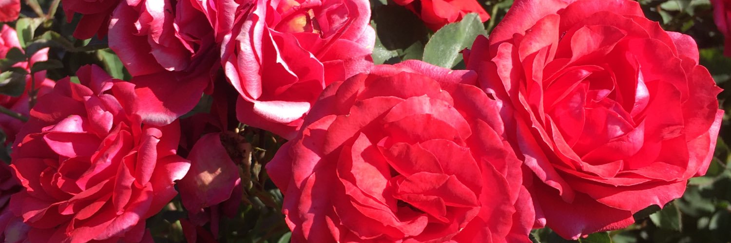 andreinabernal2's profile banner image