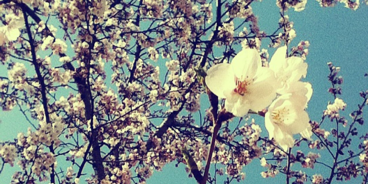 Vhane's profile banner image