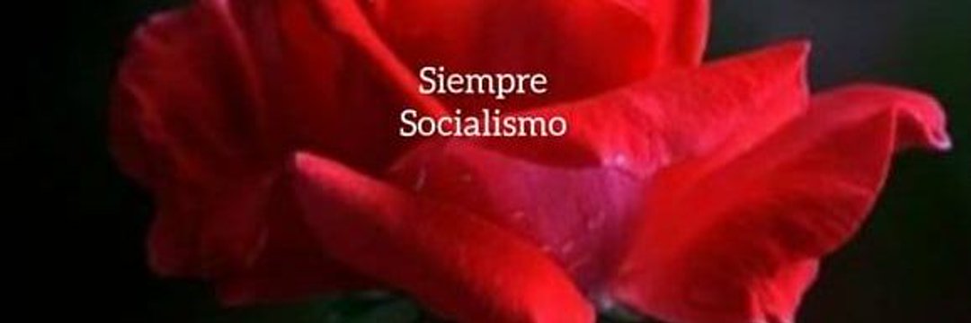 Loyle 🐶 Sanxe 🌹✊🇪🇸 banner