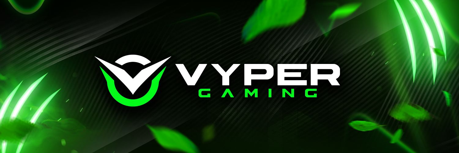 Vyper Gaming banner