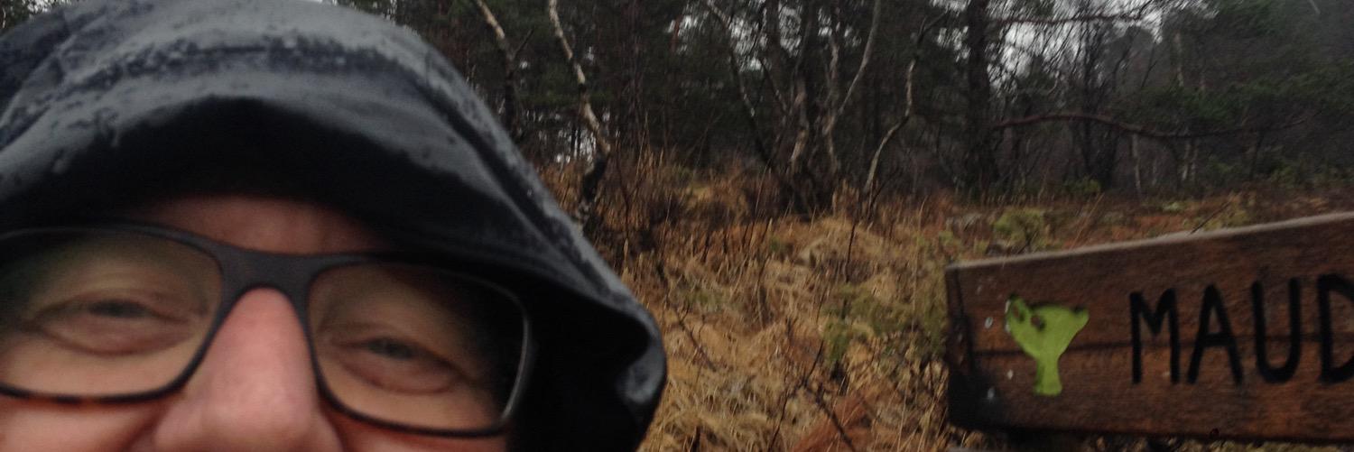 acolno's profile banner image