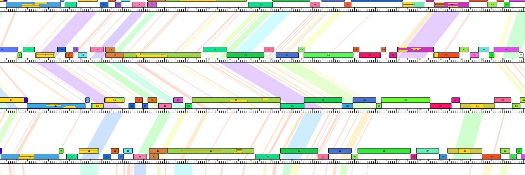 SCSUBiotech's profile banner image
