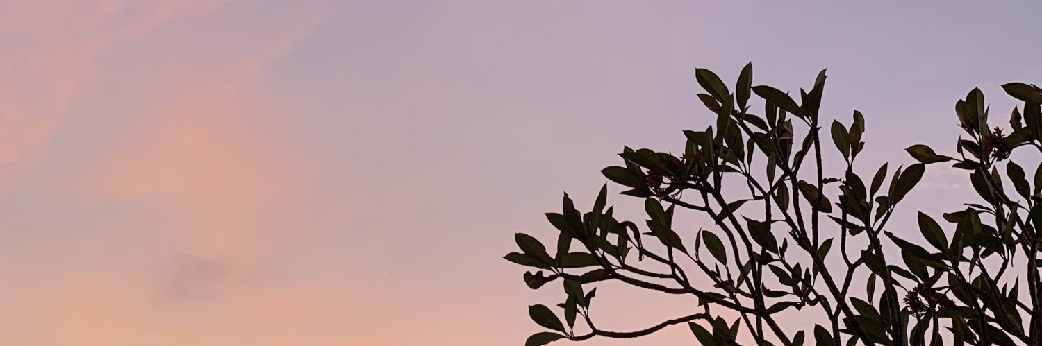 Alyezca_Disya's profile banner image