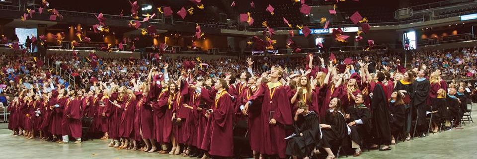 THS Counselors banner