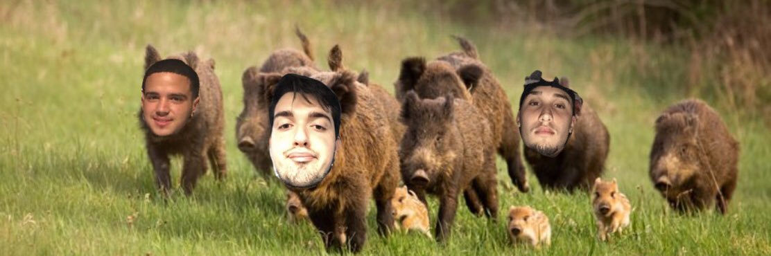 HOGINTON's profile banner image