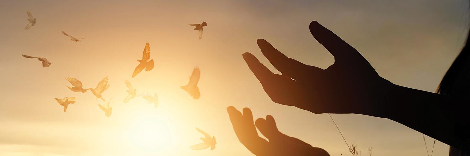 SoberGroup's profile banner image