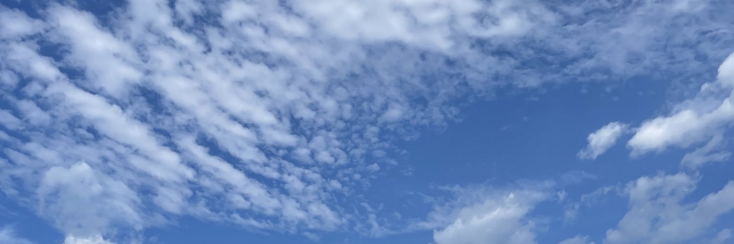 lietomenatalie's profile banner image
