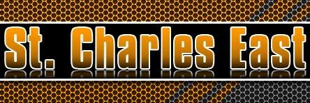 LadySaintsBowl's profile banner image