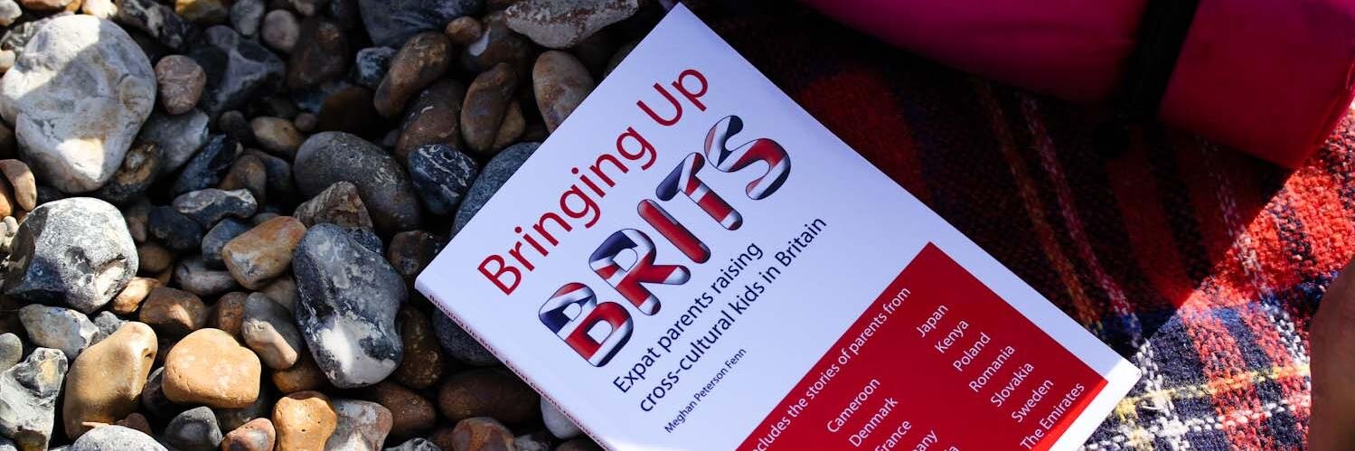 bringingupbrits's profile banner image
