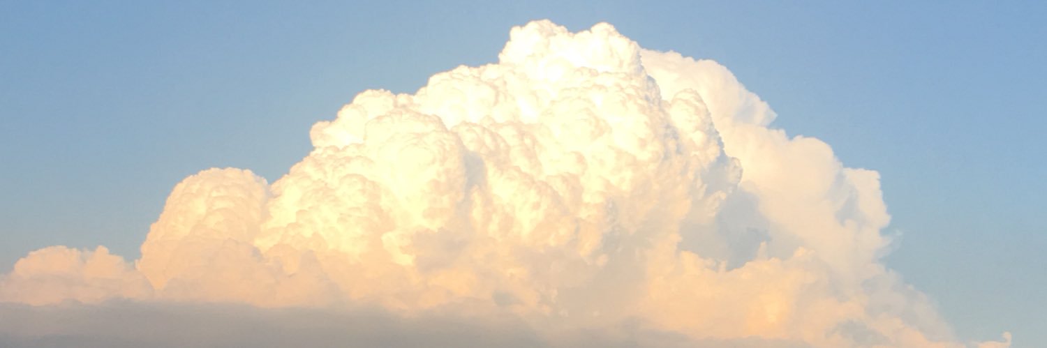 reon_nox's profile banner image