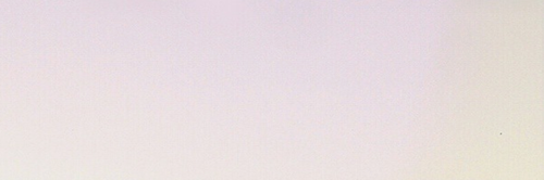 staceygdr's profile banner image