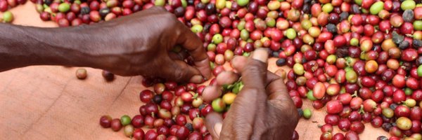 WithOneBean Profile Banner